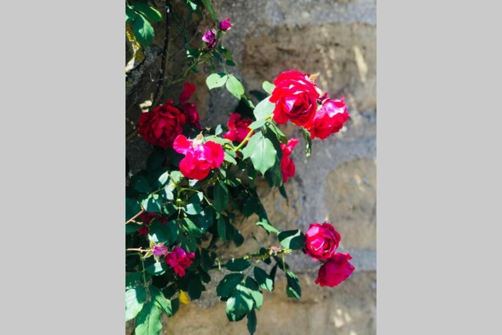 La Campagne Proche De Charleville-Mezieres This Buitenkant foto